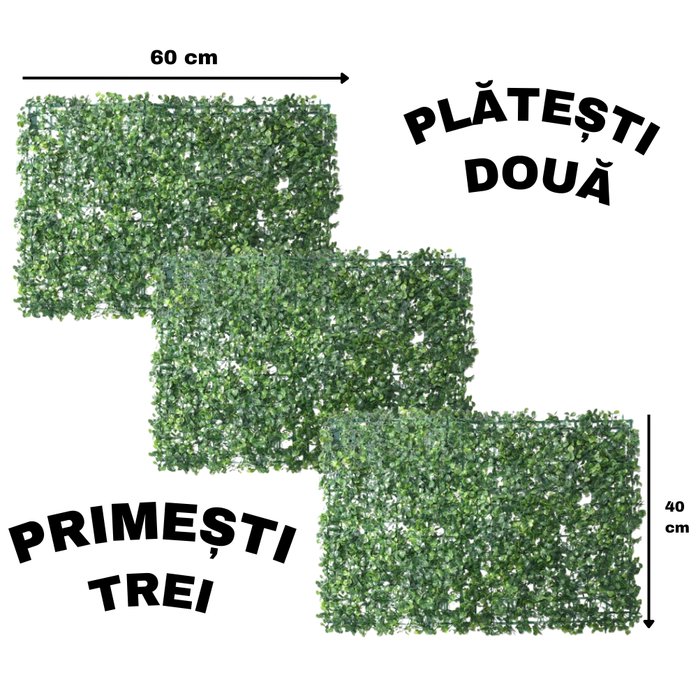2+1 GRATIS: Panou verde din plante artificiale, dimensiune: 60x40cm D4963