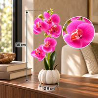 Magenta 30cm