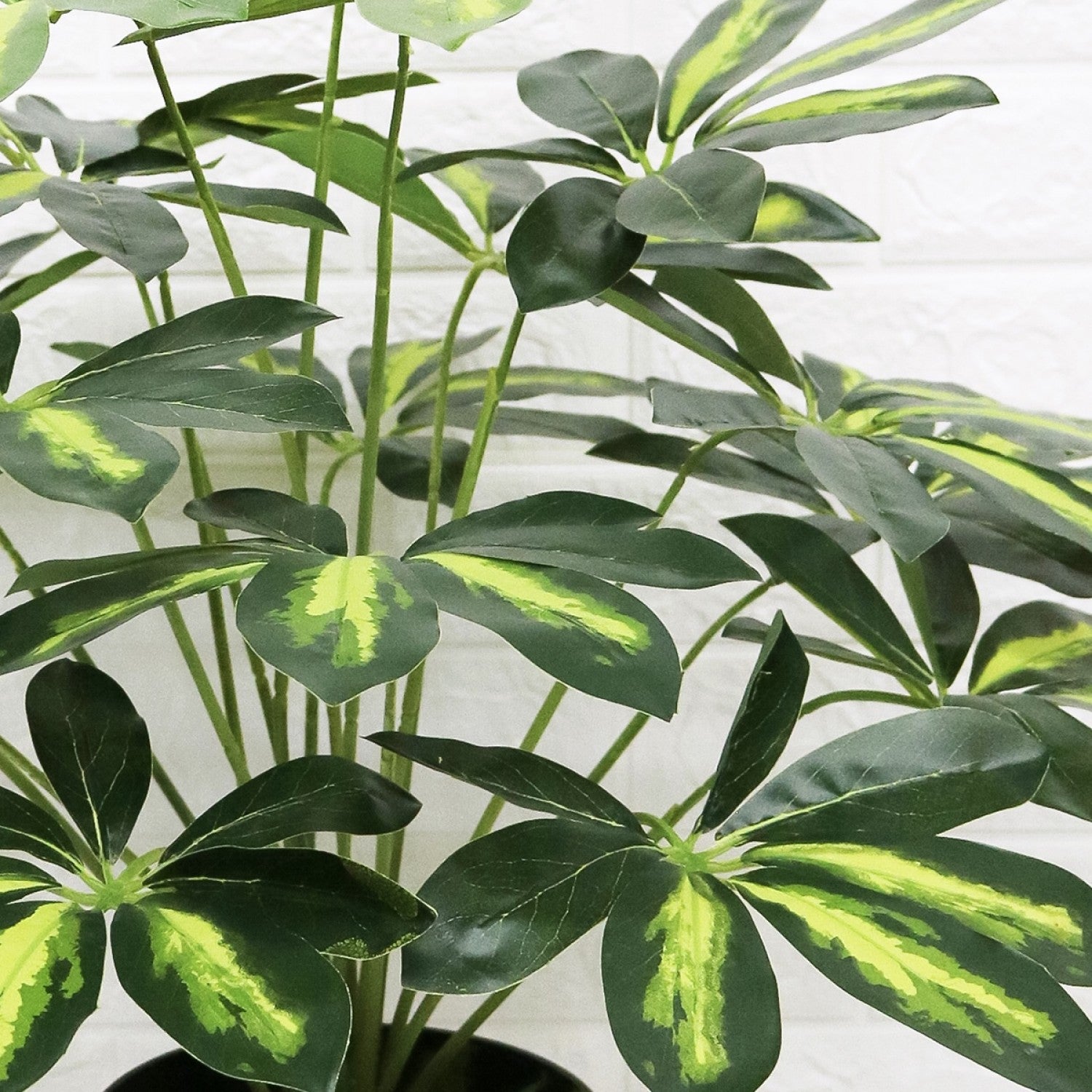 Arbust Artificial Schefflera Variegata, Ultra-Realistic, 65cm (Fara Ghiveci)