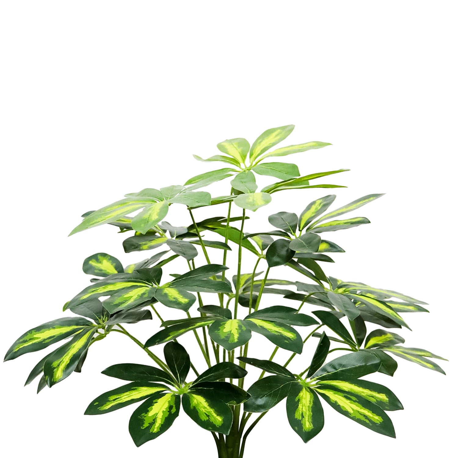 Arbust Artificial Schefflera Variegata, Ultra-Realistic, 65cm (Fara Ghiveci)