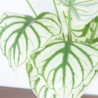 Arbust Artificial Schefflera Variegata, Ultra-Realistic, 65cm (Fara Ghiveci)