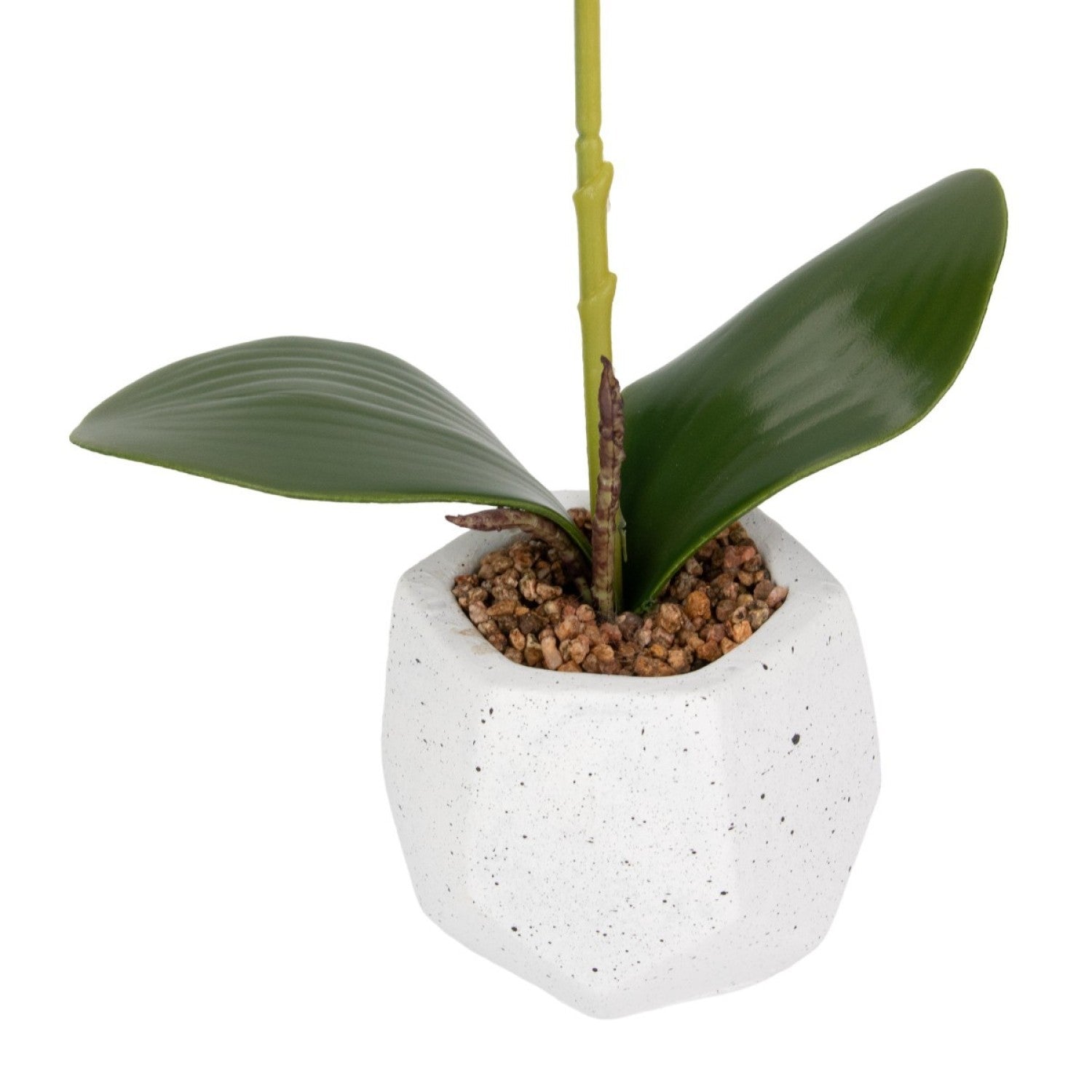Orhidee Artificială Decorativă în Ghiveci Ceramic – Eleganță Naturală pentru Orice Interior