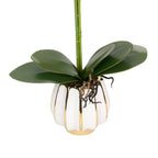 Orhidee Artificială Decorativă în Ghiveci Ceramic Premium – Rafinament Floral și Aspect Natural pentru Orice Interior, 79cm