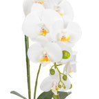 Orhidee Artificială Decorativă în Ghiveci Ceramic – Eleganță Florală și Farmec Natural pentru Orice Interior, 80cm