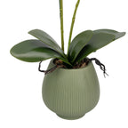 Orhidee Artificială Decorativă în Ghiveci Ceramic – Eleganță Florală și Farmec Natural pentru Orice Interior, 80cm