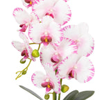 Orhidee Artificială Decorativă în Ghiveci Ceramic – Eleganță Florală și Farmec Natural pentru Orice Interior, 80cm