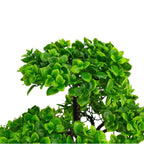 Bonsai Artificial Zen Oasis – Fără Întreținere, Eleganță și Calmitate, 40 cm