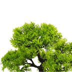Bonsai Artificial Zen Oasis – Fără Întreținere, Eleganță și Calmitate, 40 cm