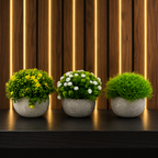 Set 3 Plante Artificiale Premium – Decor Elegant pentru Casă și Birou