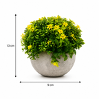 Set 3 Plante Artificiale Premium – Decor Elegant pentru Casă și Birou