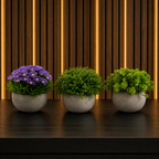 Set 3 Plante Artificiale Premium – Decor Elegant pentru Casă și Birou