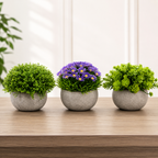 Set 3 Plante Artificiale Premium – Decor Elegant pentru Casă și Birou