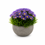 Set 3 Plante Artificiale Premium – Decor Elegant pentru Casă și Birou