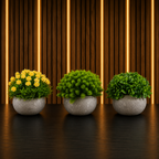 Set 3 Plante Artificiale Premium – Decor Elegant pentru Casă și Birou