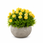 Set 3 Plante Artificiale Premium – Decor Elegant pentru Casă și Birou