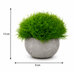 Set 3 Plante Artificiale Premium – Decor Elegant pentru Casă și Birou
