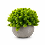 Set 3 Plante Artificiale Premium – Decor Elegant pentru Casă și Birou