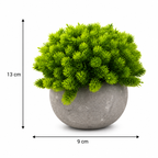 Set 3 Plante Artificiale Premium – Decor Elegant pentru Casă și Birou
