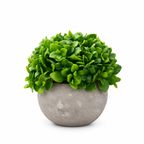 Set 3 Plante Artificiale Premium – Decor Elegant pentru Casă și Birou