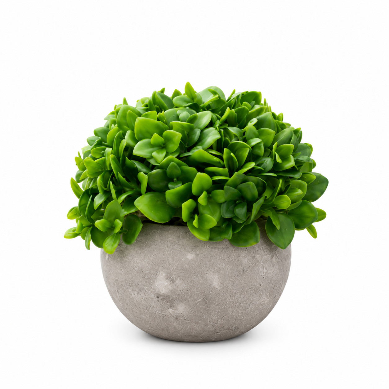 Set 3 Plante Artificiale Premium – Decor Elegant pentru Casă și Birou