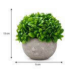 Set 3 Plante Artificiale Premium – Decor Elegant pentru Casă și Birou