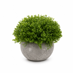 Set 3 Plante Artificiale Premium – Decor Elegant pentru Casă și Birou
