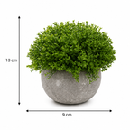 Set 3 Plante Artificiale Premium – Decor Elegant pentru Casă și Birou