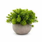 Set 3 Plante Artificiale Premium – Decor Elegant pentru Casă și Birou
