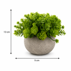 Set 3 Plante Artificiale Premium – Decor Elegant pentru Casă și Birou