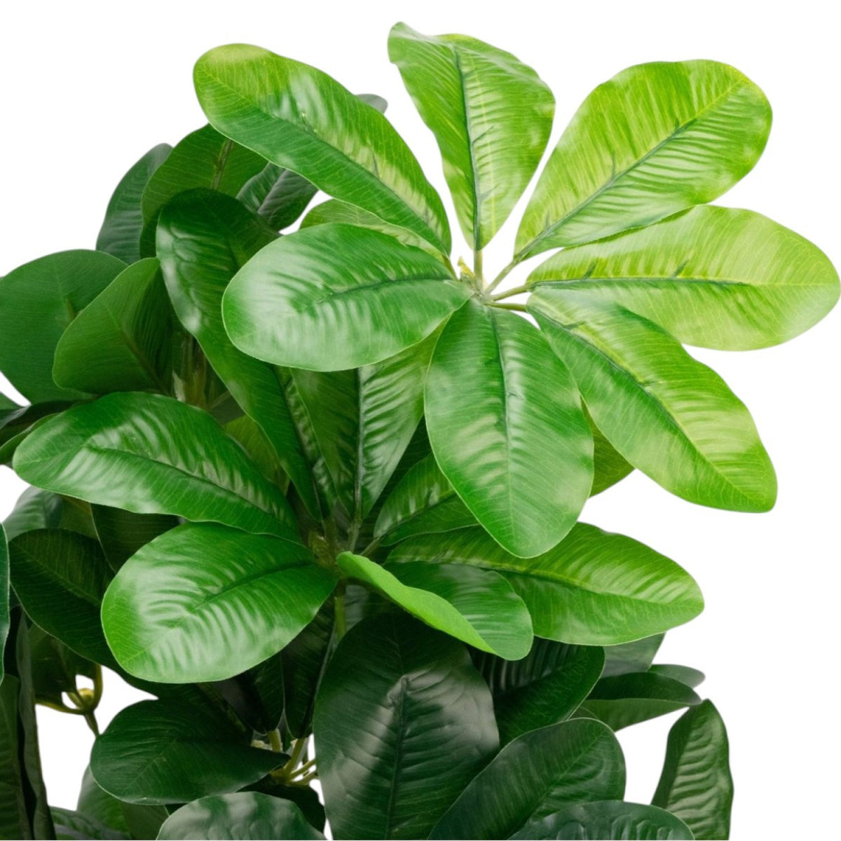 Arbust Artificial Premium, Ultra-Realist, 88–90 cm – 3 Modele (Fără Ghiveci)