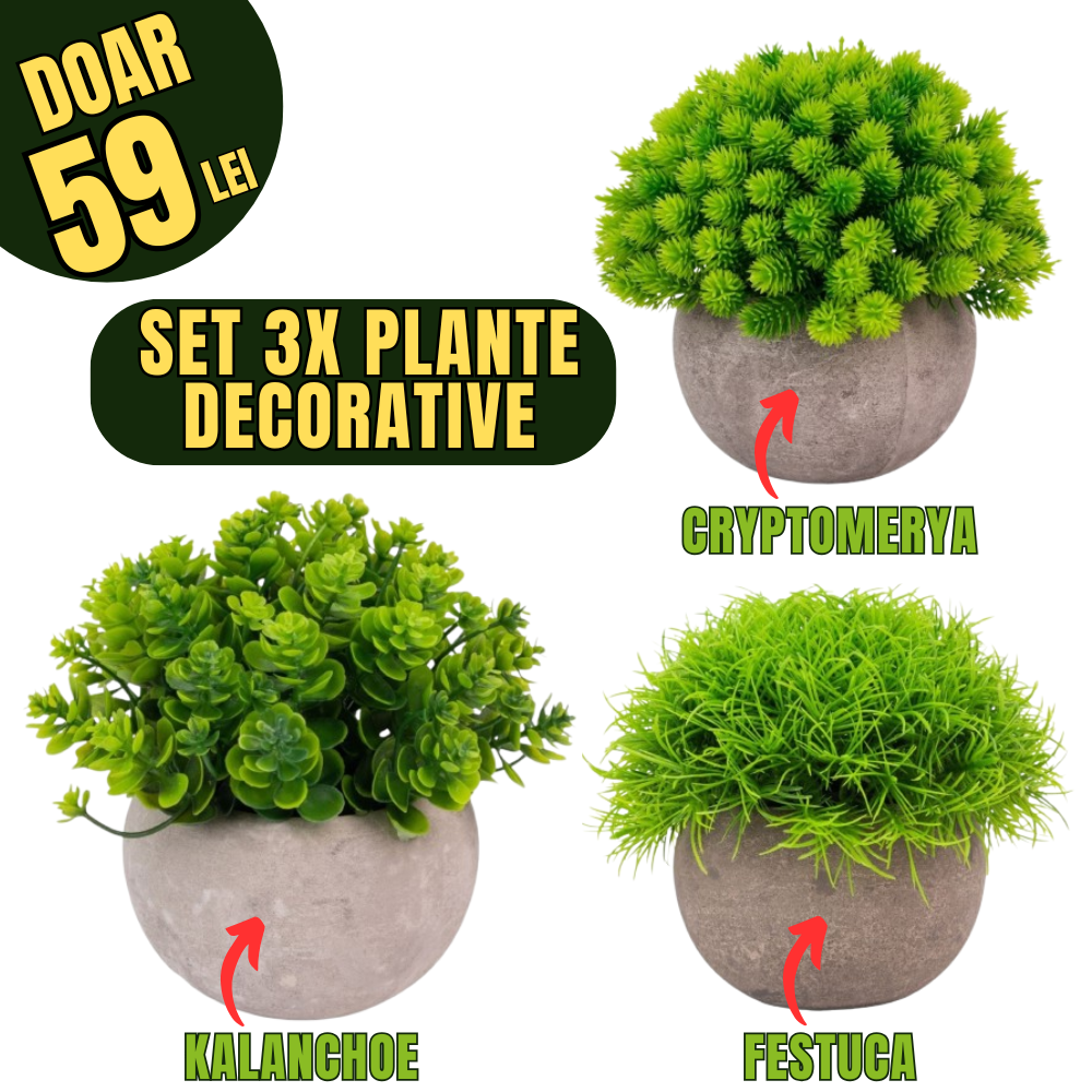 Set 3x plante artificiale, cu ghiveci de hartie 12x10 cm, Verde