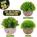 Set 3x plante artificiale, cu ghiveci de hartie 12x10 cm, Verde