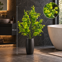 Buxus Galben