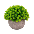 Set 3x plante artificiale, cu ghiveci de hartie 12x10 cm, Verde