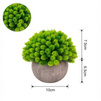 Set 3x plante artificiale, cu ghiveci de hartie 12x10 cm, Verde