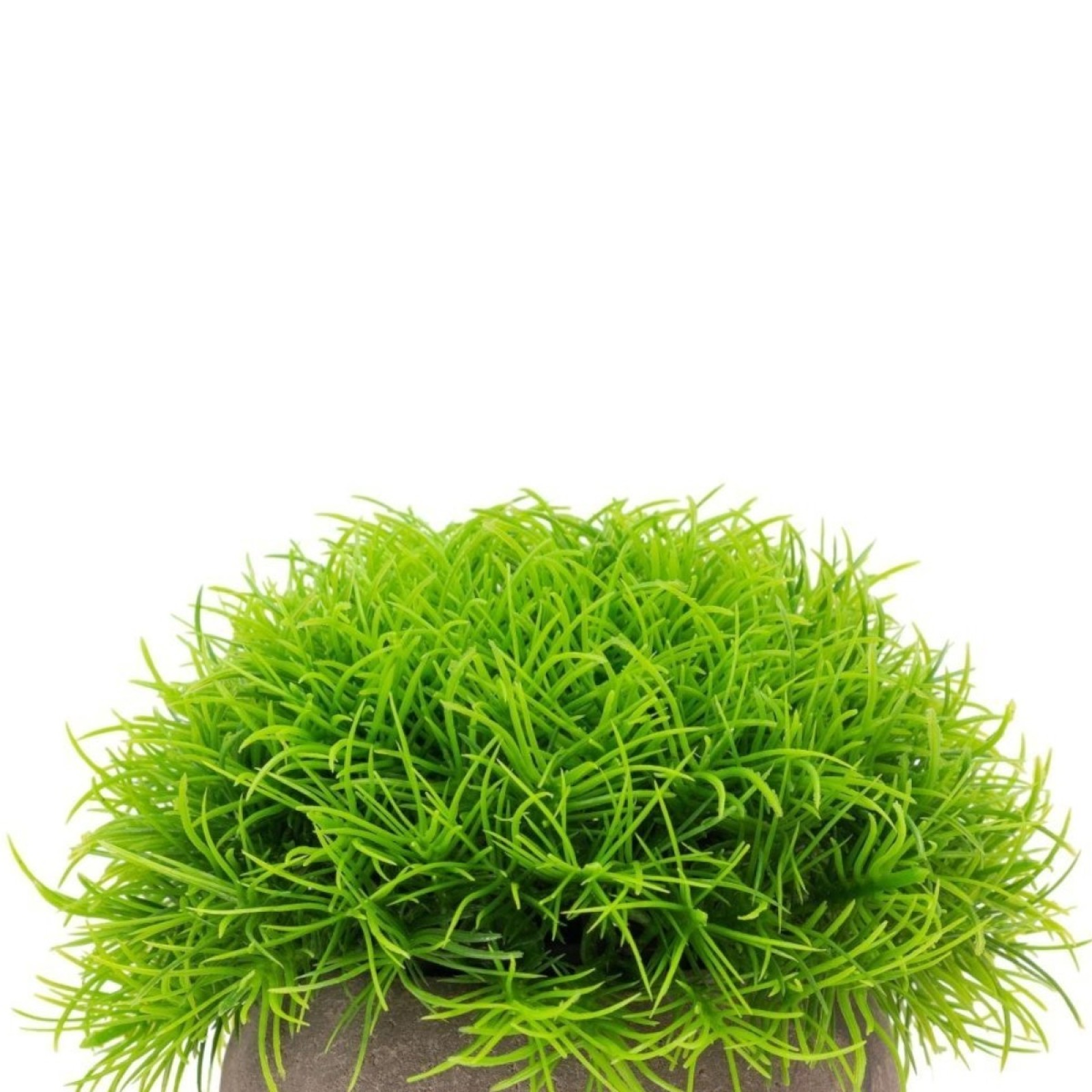 Set 3x plante artificiale, cu ghiveci de hartie 12x10 cm, Verde