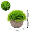 Set 3x plante artificiale, cu ghiveci de hartie 12x10 cm, Verde