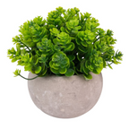 Set 3x plante artificiale, cu ghiveci de hartie 12x10 cm, Verde