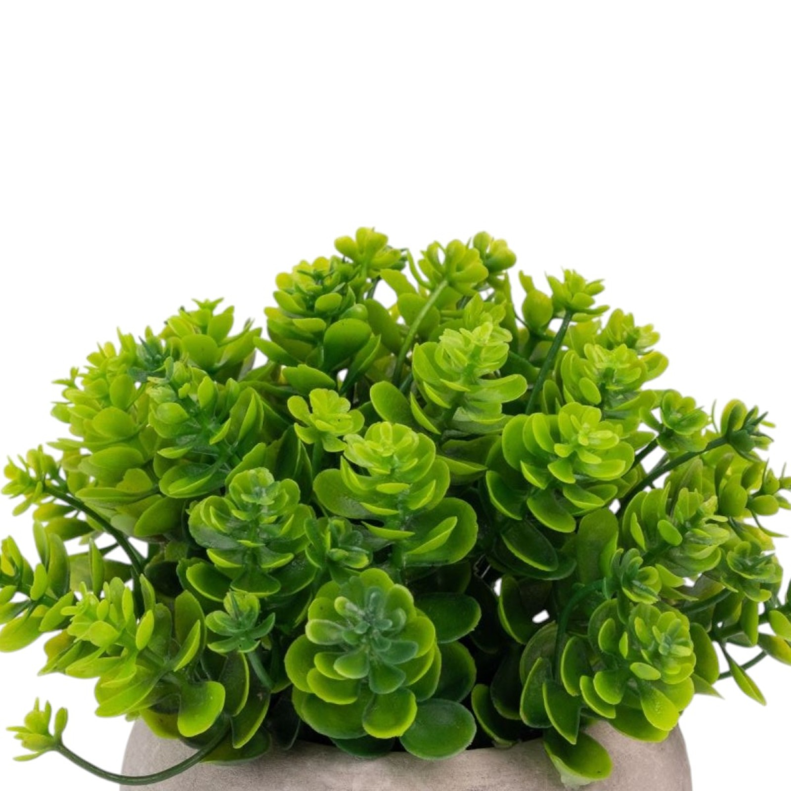 Set 3x plante artificiale, cu ghiveci de hartie 12x10 cm, Verde