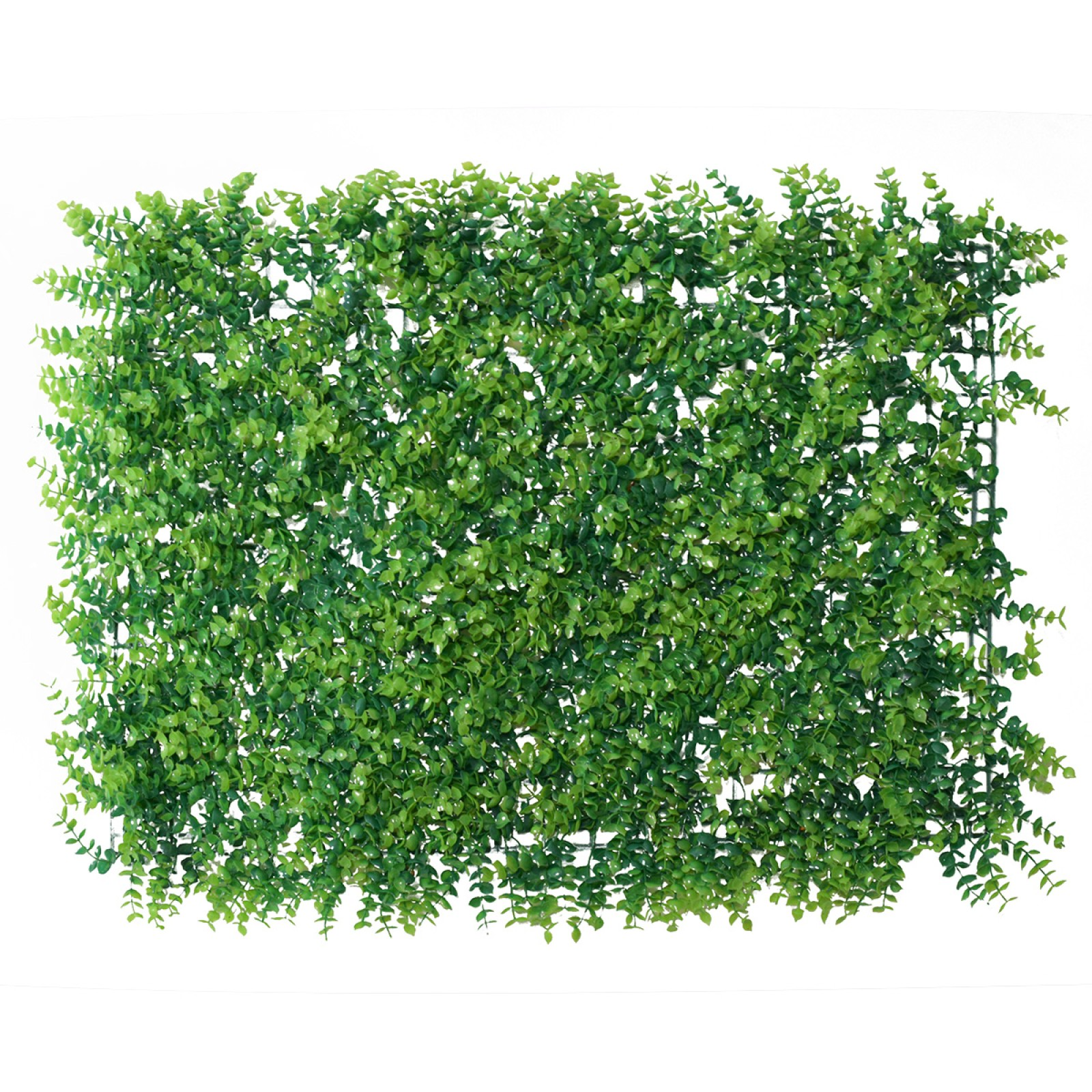 1+1 GRATIS: Panou verde din plante artificiale, dimensiune: 60x40cm, D4964
