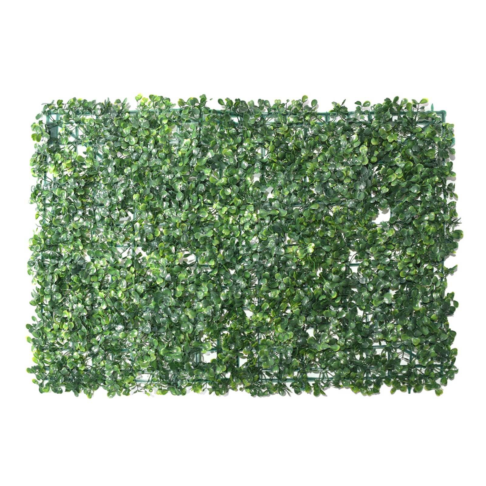 2+1 GRATIS: Panou verde din plante artificiale, dimensiune: 60x40cm D4963