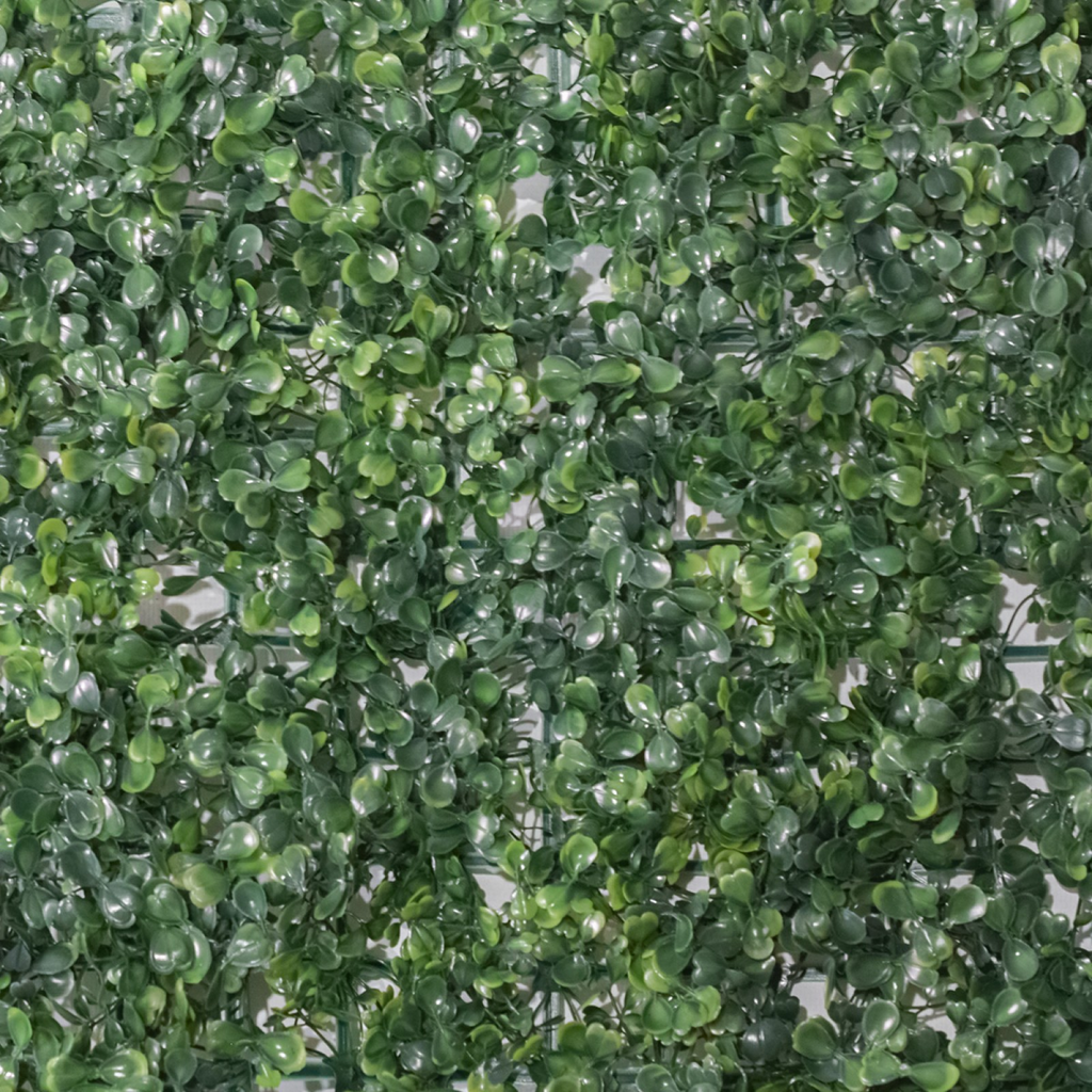 2+1 GRATIS: Panou verde din plante artificiale, dimensiune: 60x40cm D4963