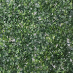 2+1 GRATIS: Panou verde din plante artificiale, dimensiune: 60x40cm D4963