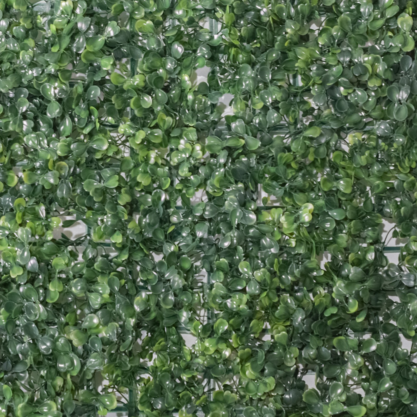 2+1 GRATIS: Panou verde din plante artificiale, dimensiune: 60x40cm D4963